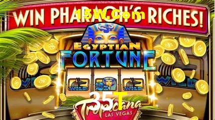 35T São Paulo - Jogo Providers